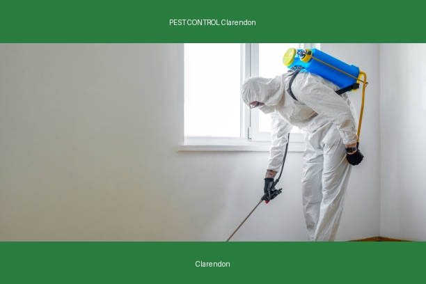 PEST CONTROL Clarendon